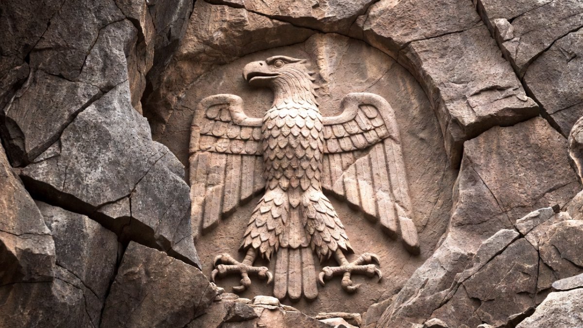 Doğan Şahin Kartal İşareti Rehberimiz